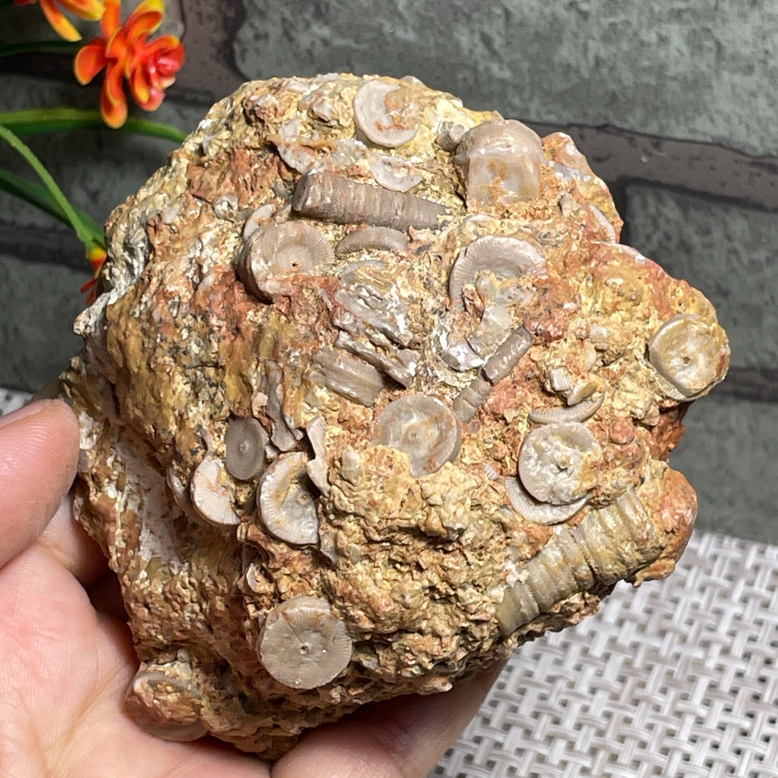 raw lily stone Madagascar - viewing Home decoration 367g A38