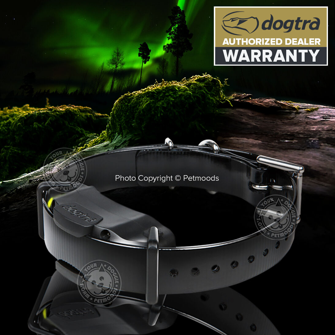 Dogtra 1900S Remote Training Collar 3/4 Mile Range
