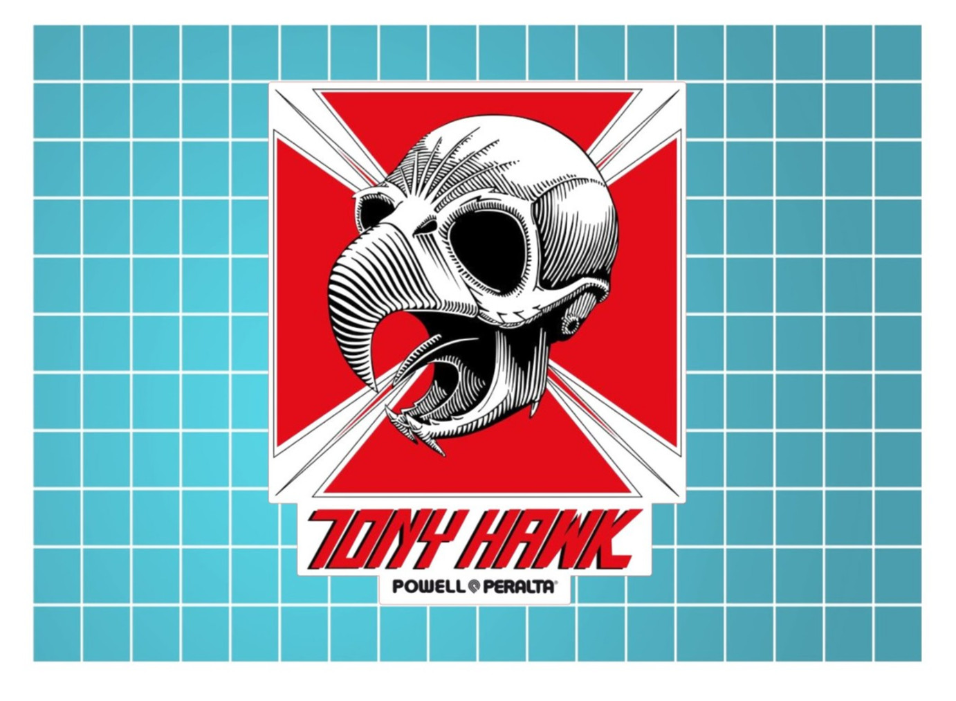 Tony Hawk Skateboard Logo All Weather Vinyl Sticker/Decal