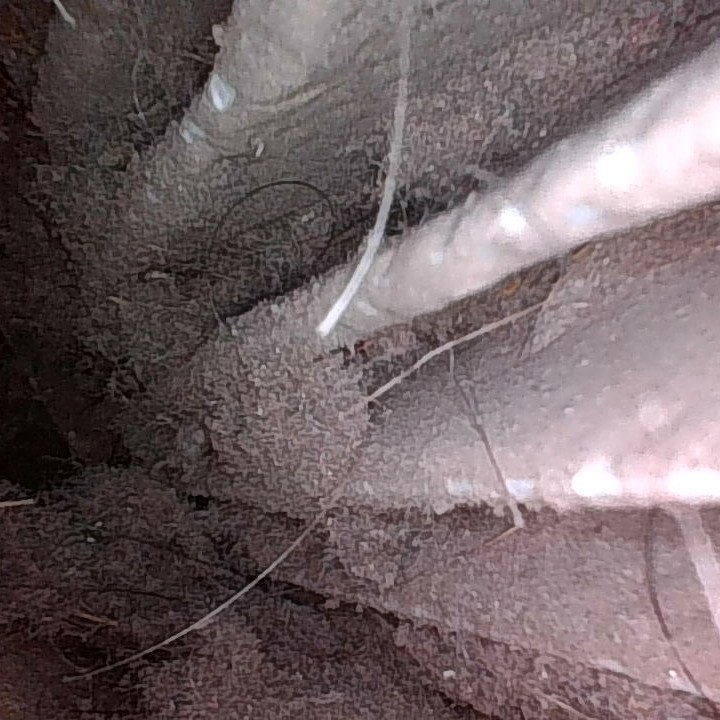 Vividia ME-610i/ME-410i Joystick Articulating Borescope 6mm/4mm Diameter for iOS