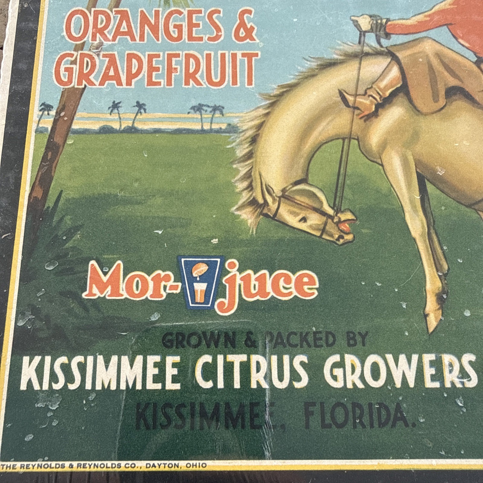 Original Vintage Florida Cowboy Citrus Crate Label Kissimmee Growers Horse Art