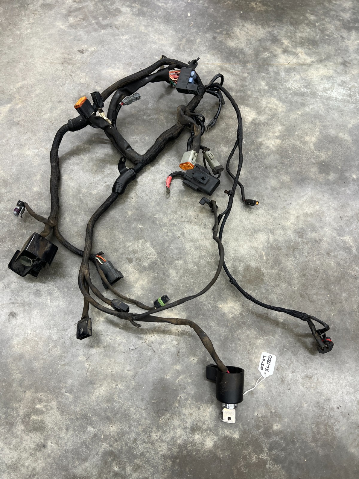 Genuine Harley Davidson Sportster XL1200C Main Wire Harness Loom OEM 2004-2009