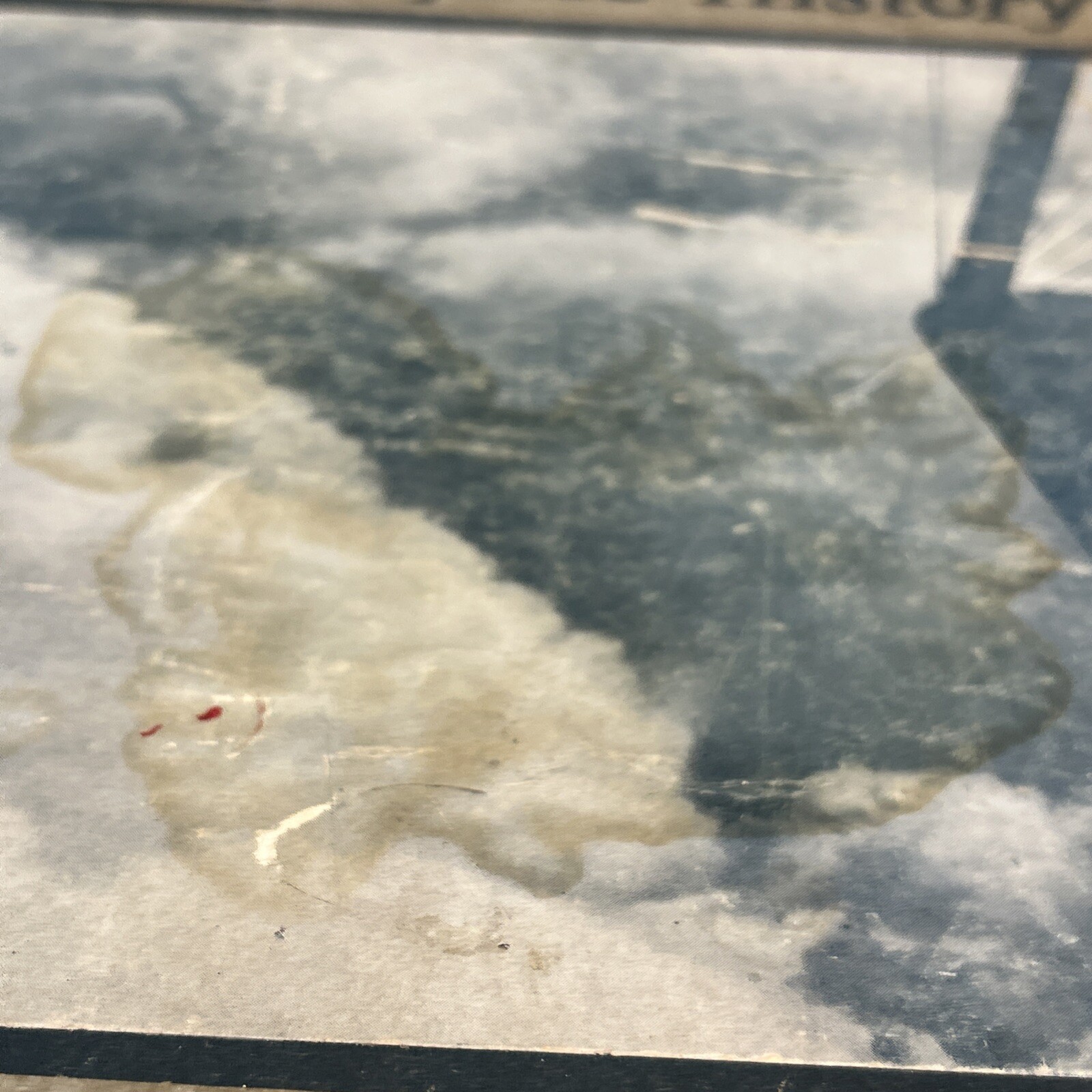 World War I One Colliers Photographic Coffee Table Book 100s Of Photos Used