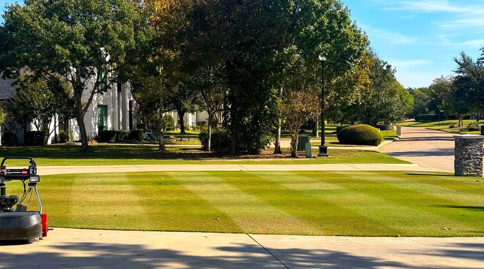 Bermuda Grass, Coated Unhulled Seeds - For 2026 Planting Warm Season