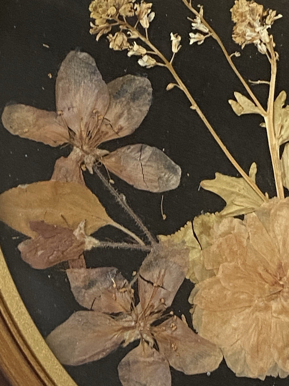 Set of 4 Framed Pressed Flower Art/Wall Decor