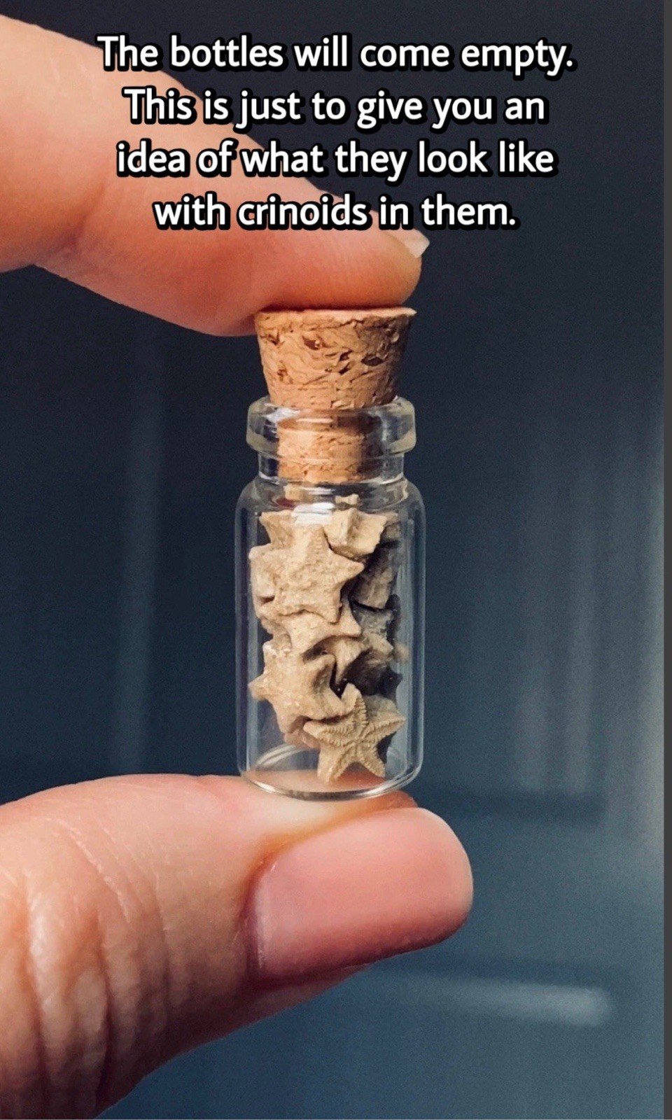 4 Pack of Small Empty Glass Corked Bottles