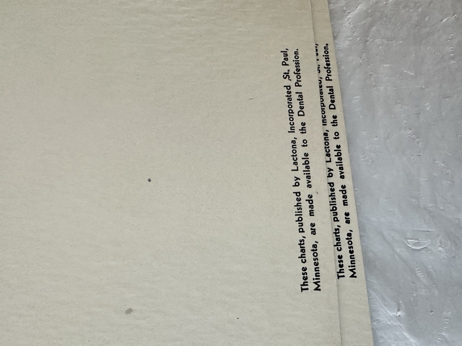 Vintage Lactona Inc Dental Anatomy Diagram Prints 11X8.5 Inches Dentistry