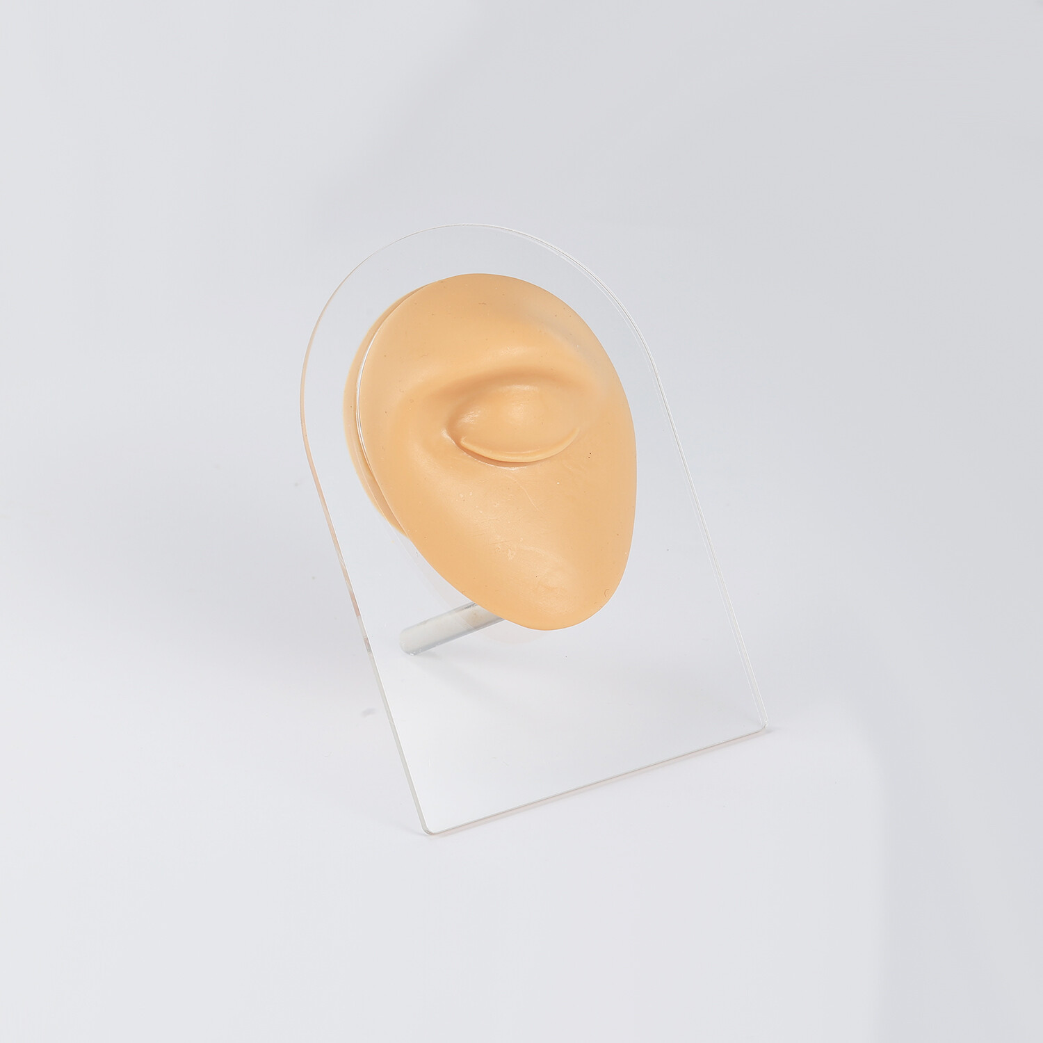 Silicone Ear Model with Acrylic Display Stand Body Parts Practice Piercing Tools