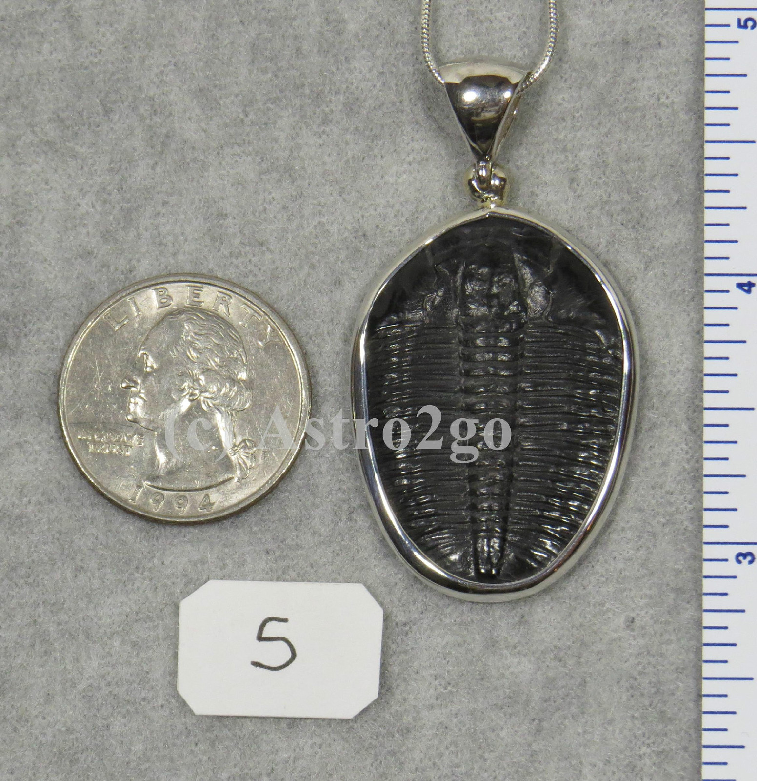 Elrathia Kingii TRILOBITE PENDANT $109 Sterling Silver Jewelry STARBORN CREATION