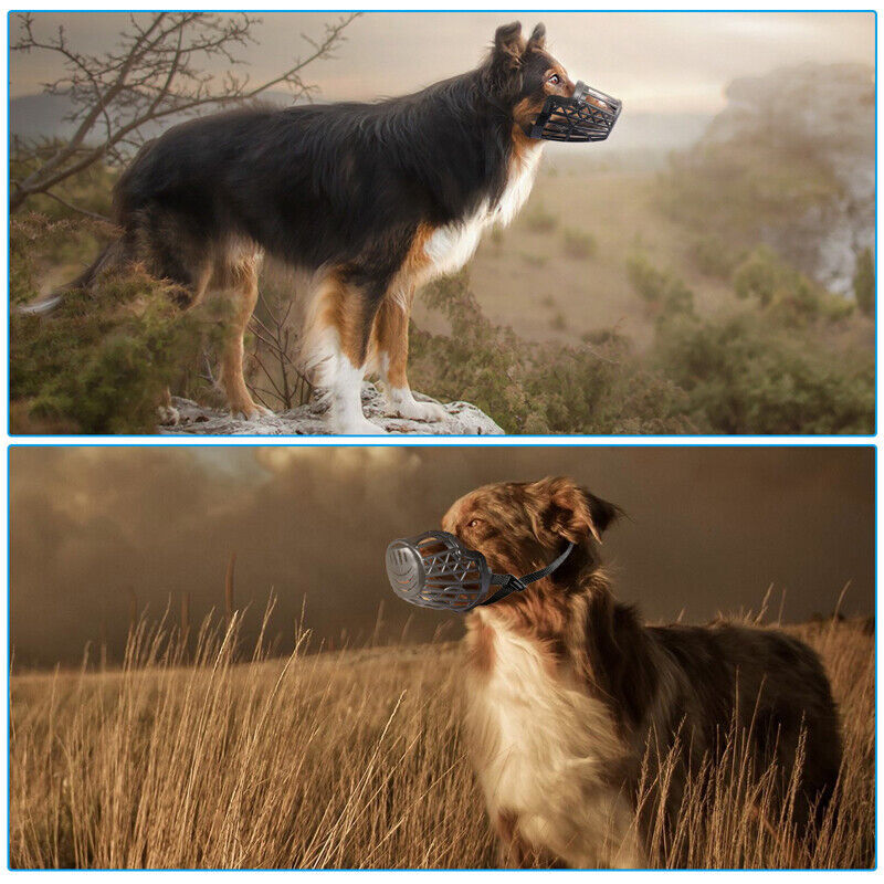 Dog Pet Basket Muzzle Mouth Cover Mesh Cage NoBarking Anti Bite Biting Chewing