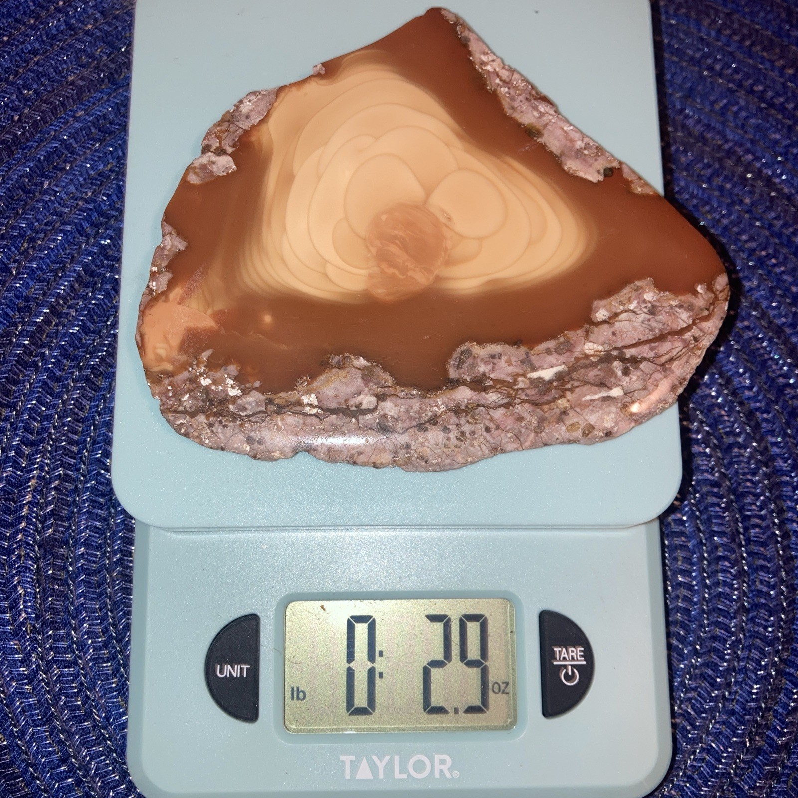 Bruneau Jasper Slab-One Side Polished-Many Orbs And Light Cream Color-2.9oz/83g