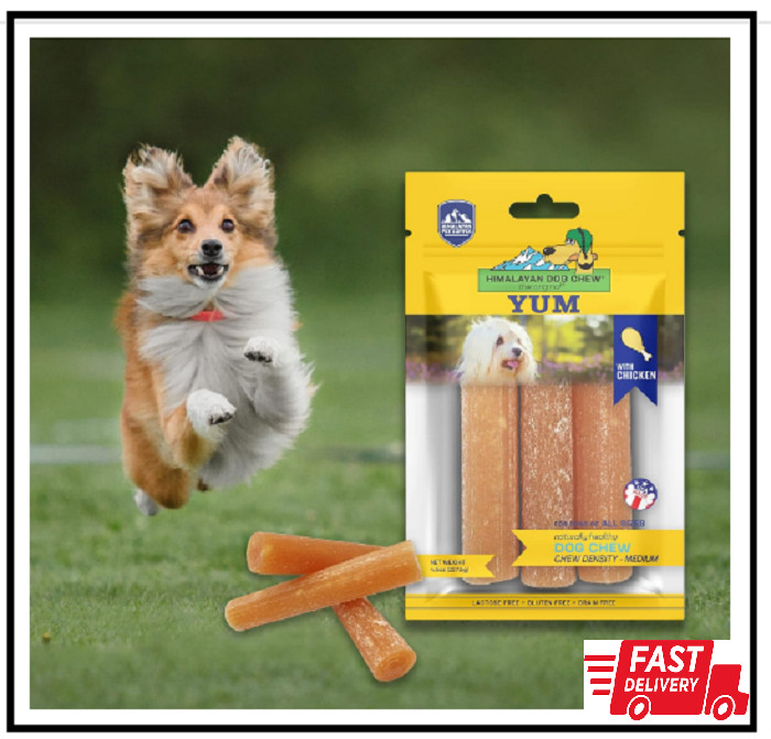 Himalayan Dog Chew Original Yak Cheese Dog Chews, 100% Natural, Long Lasting, Gl