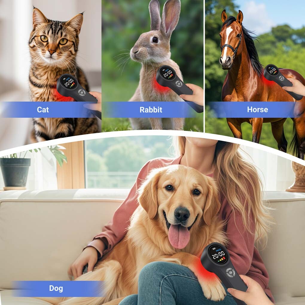 Medical 1760mW Cold Laser Therapy Device Class4 Human Horses Dogs Pain Relief