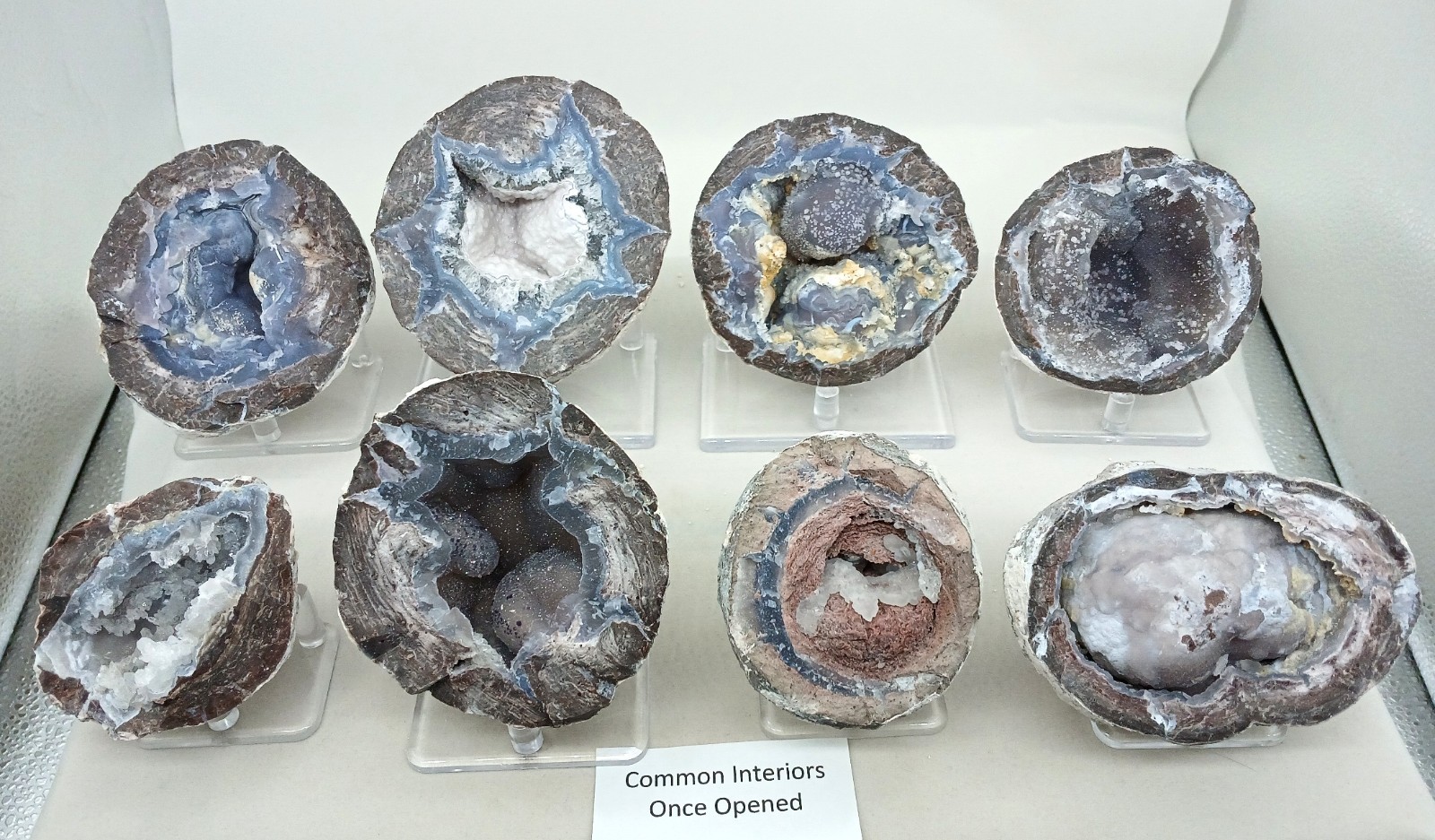 Whole Guaranteed Hollow Utah Dugway Quartz Agate Geode Thundereggs, Fluorescent!