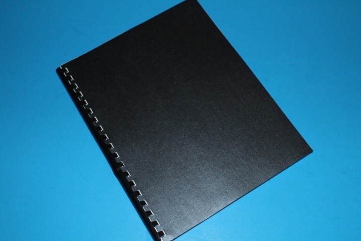 Christmas Seal Buttons and Pins 2nd ed Caprario BlueLakeStamps Great Info!