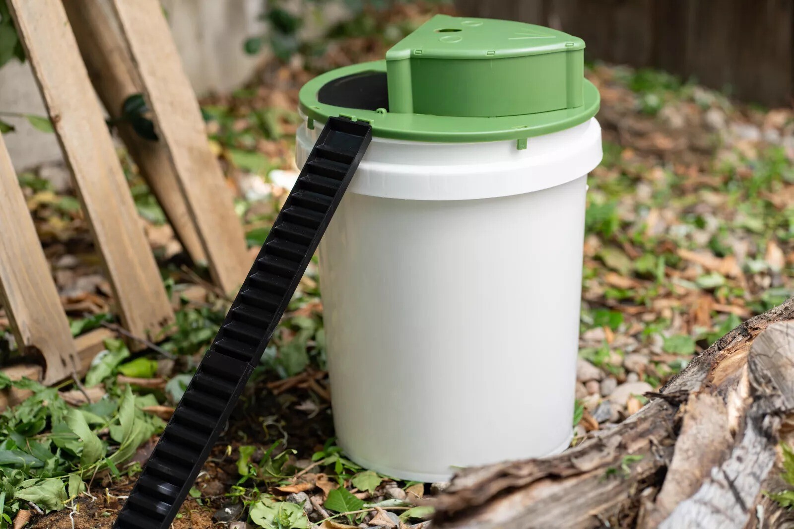 Humane Mouse Rat Trap, 3PACK Rats Trap Bucket Lid Catcher with Ramp Mousetraps