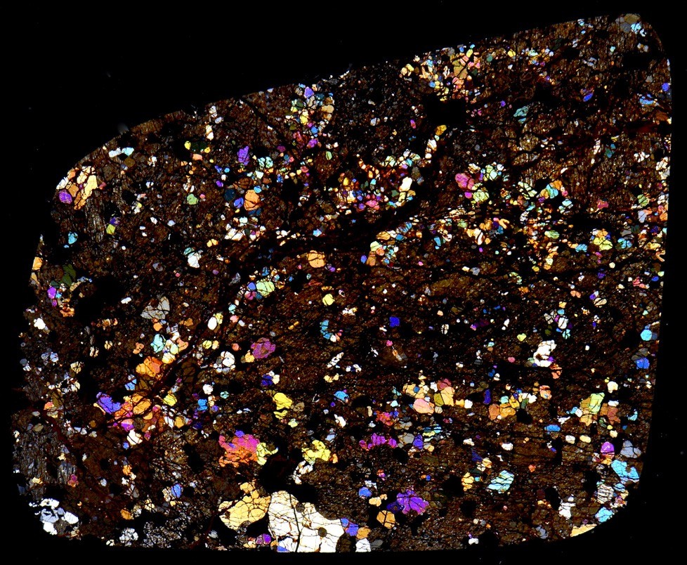 Meteorite NWA 16394 - rare WINONAITE Achondrite Microscope Slide Thin Section