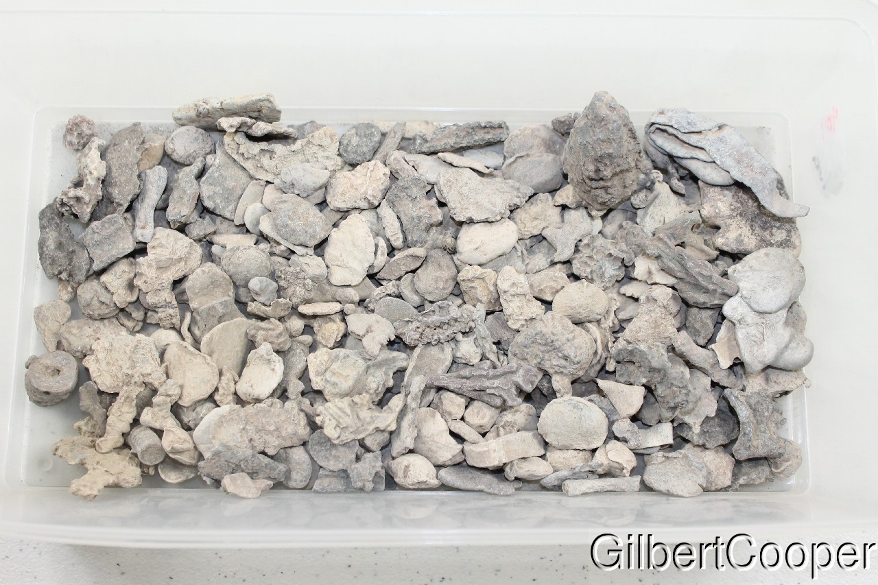 ONEIDA INDIAN LEAD SCRAP - SELLING 1 PIECE AT A TIME