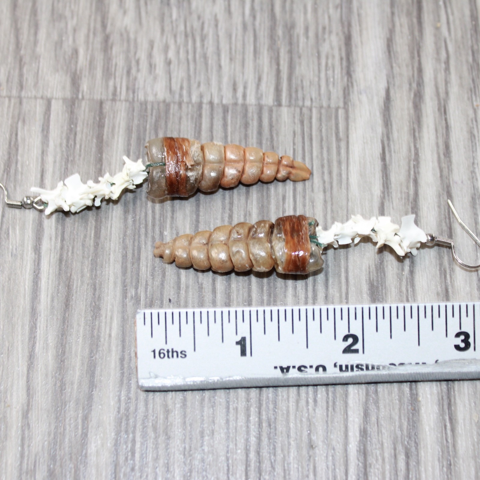 Rattlesnake Rattle Plus Vertebrae Earrings #4663 Mountain Man Earrings
