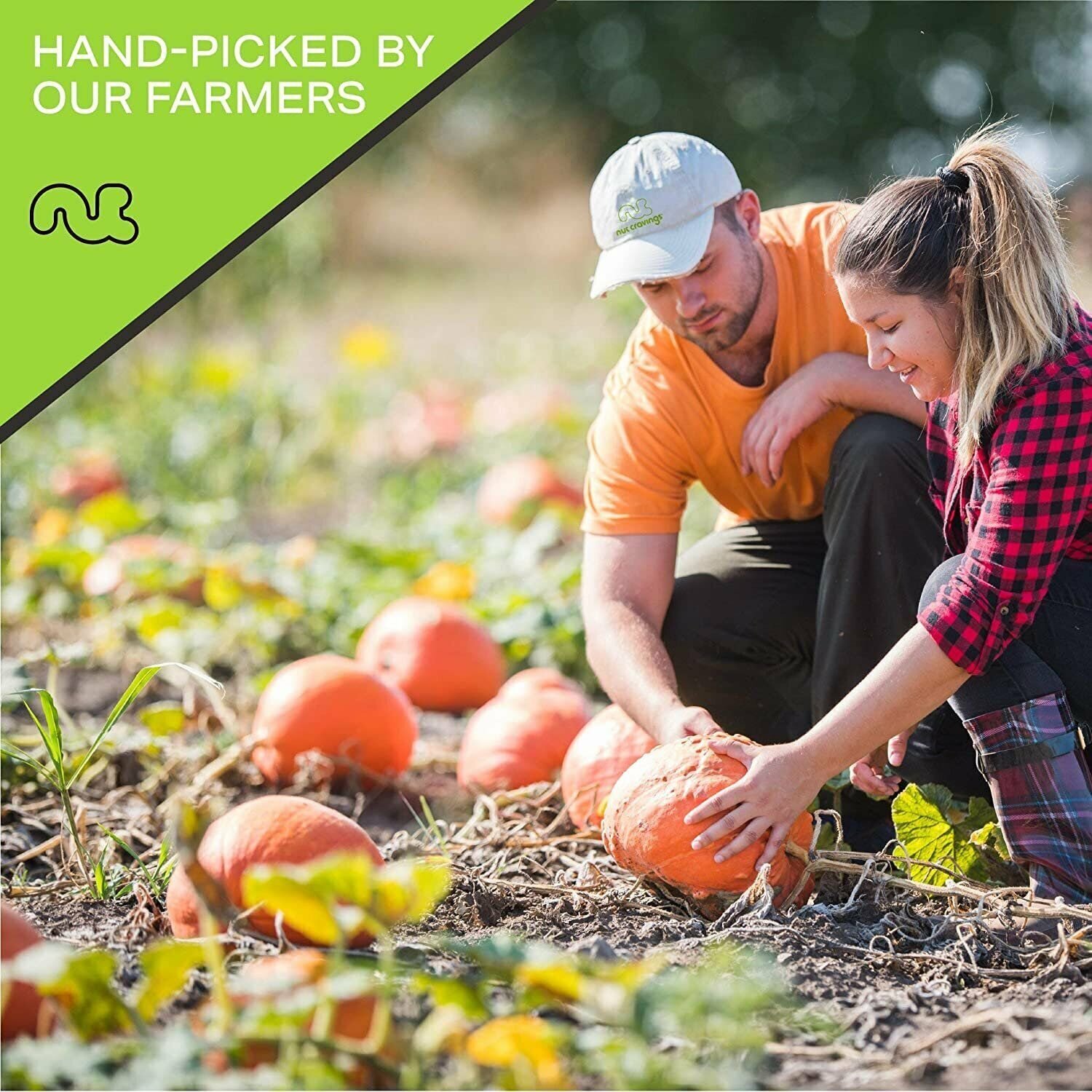 Nut Cravings - Raw Pumpkin Seeds Pepitas, Unsalted, Shelled, (80oz - 5 LB)...