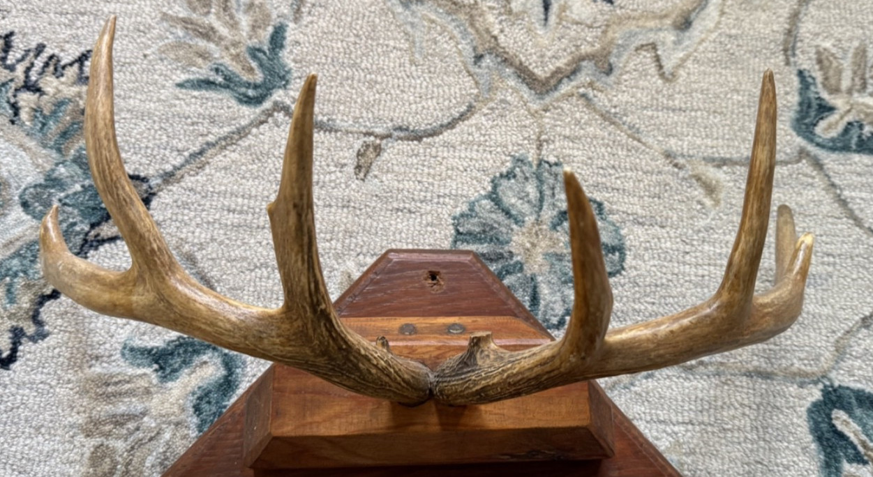 Vintage Taxidermy Deer Antler Hoof Coat Rack Hat Rack Man Cave Bar