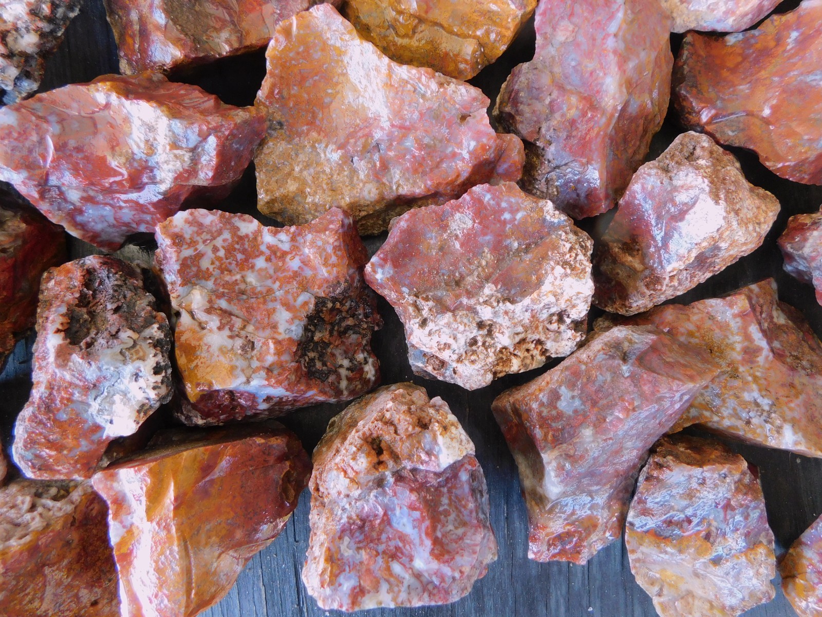San Carlos Agate natural lapidary cabbing tumbling rough from Mexico