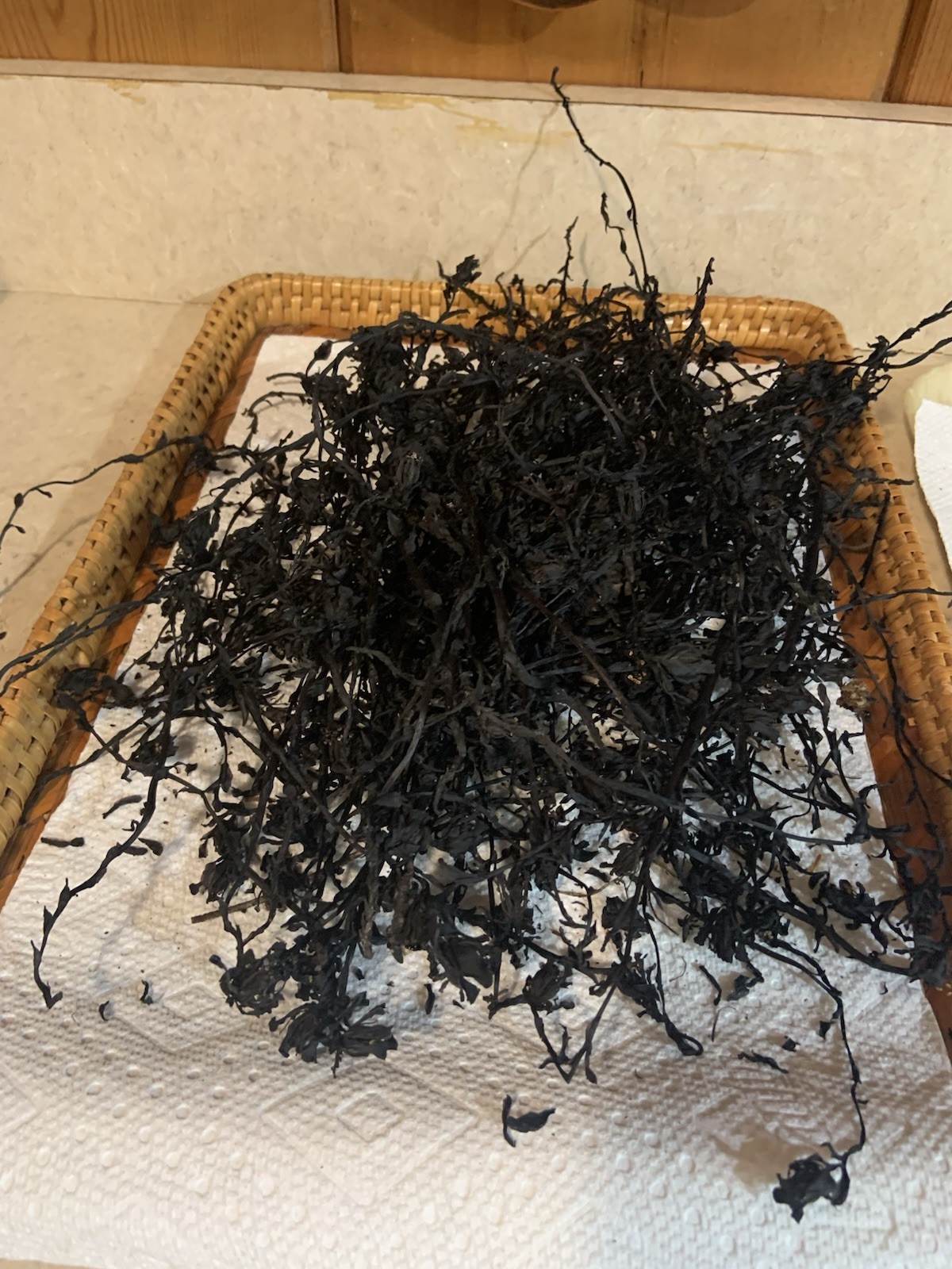 Dried Ghost Pipe Indian Pipe Whole Flowers Box of 12