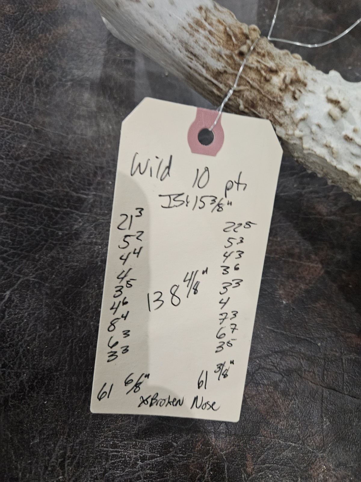 Wild 10 Point Whitetail Deer Antler Rack Horn European Skull Mount Man Cave 138"