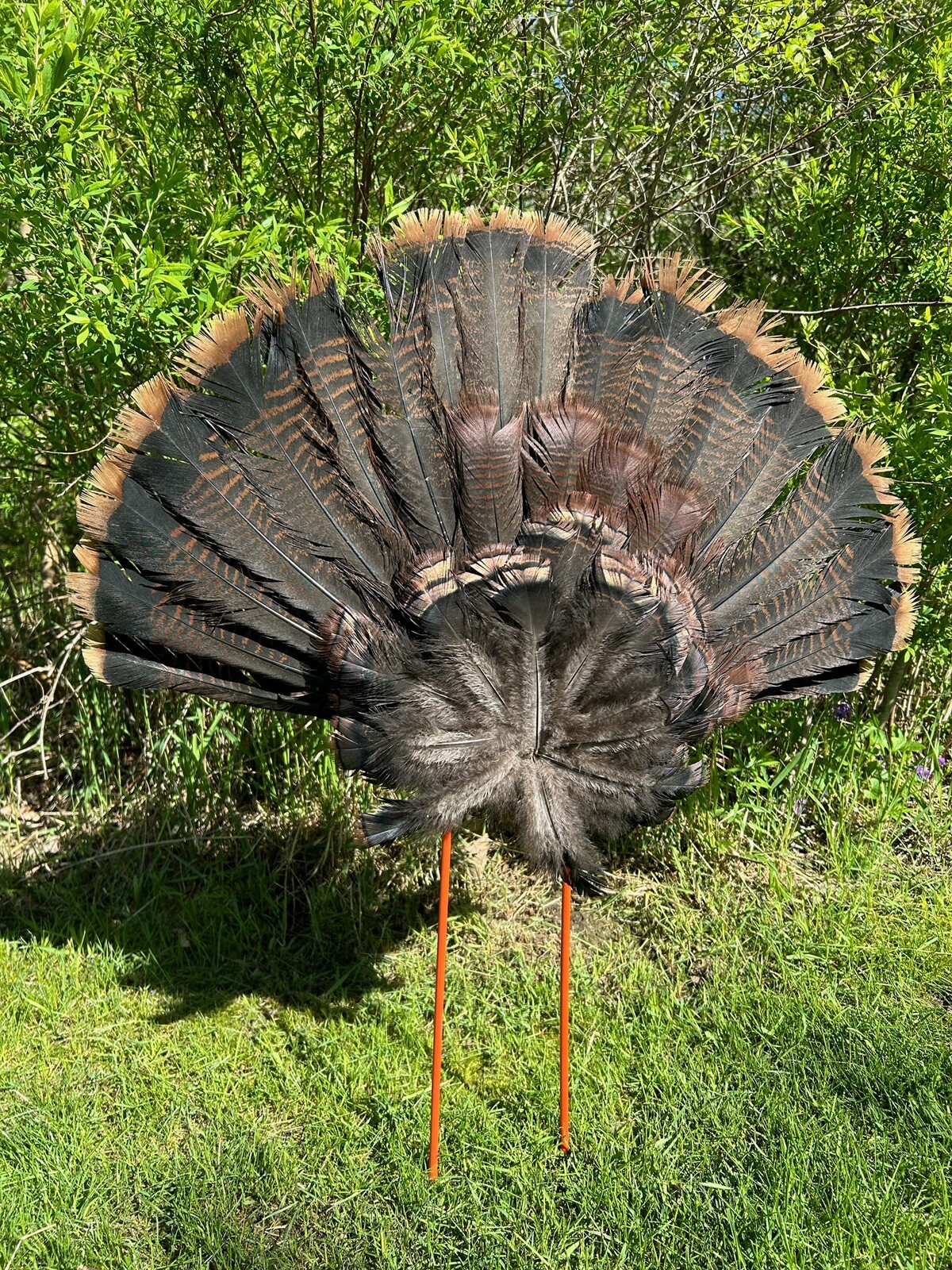 Turkey Hunting Fan Decoy Mount - Wall Mount, Hunt, & Preserve - Fan Not Included