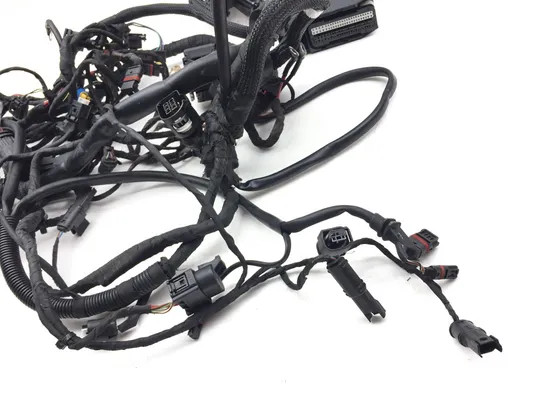 Main Engine Wiring Harness 2009 BMW F800GS 3131