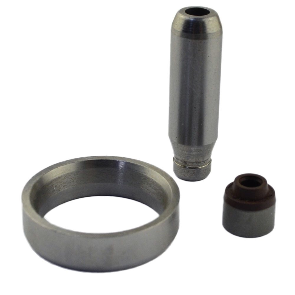 2*Intake 2*Exhaust Valves & Stem Guide Seal Kit For KAWASAKI KXF250 KX250F 04-16