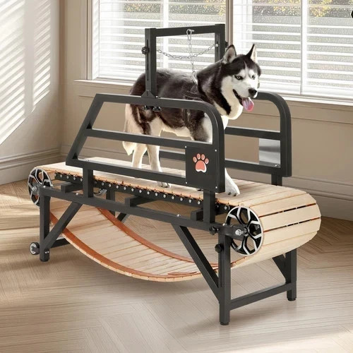 Dog Treadmill for Large Dogs, Medium Pet Slatmill for Indoor Exercise Training