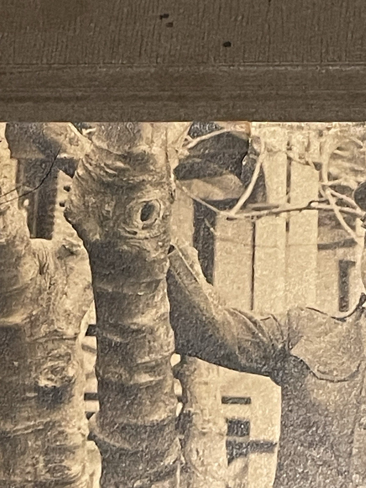 WW1 Photograph Young Military Soldier In Uniform With Medal & Hat - Sepia Color