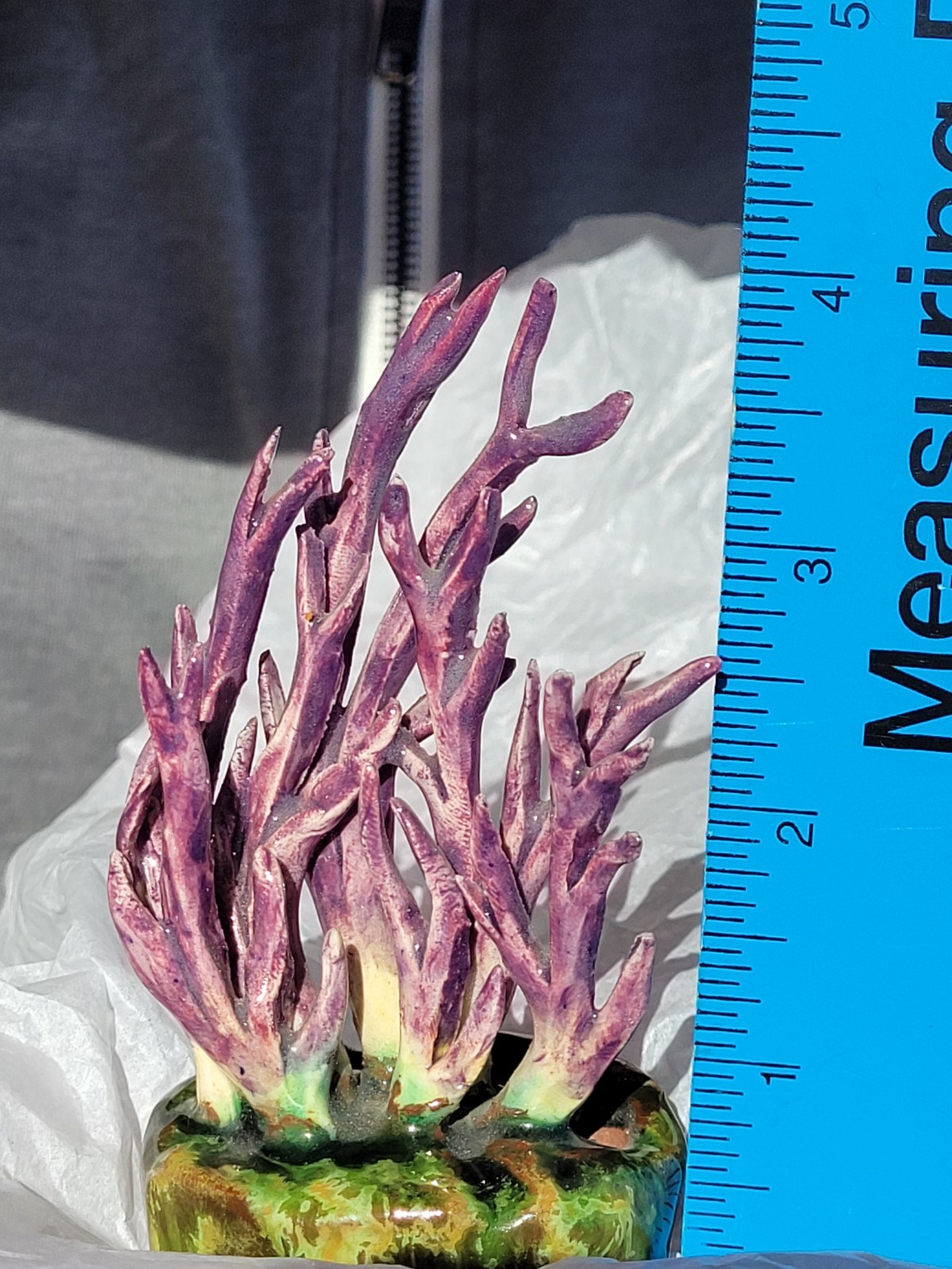 Rare Vintage Early Lorenzen Lantz Nova Scotia Clay Mushroom Clavaria Amethystina