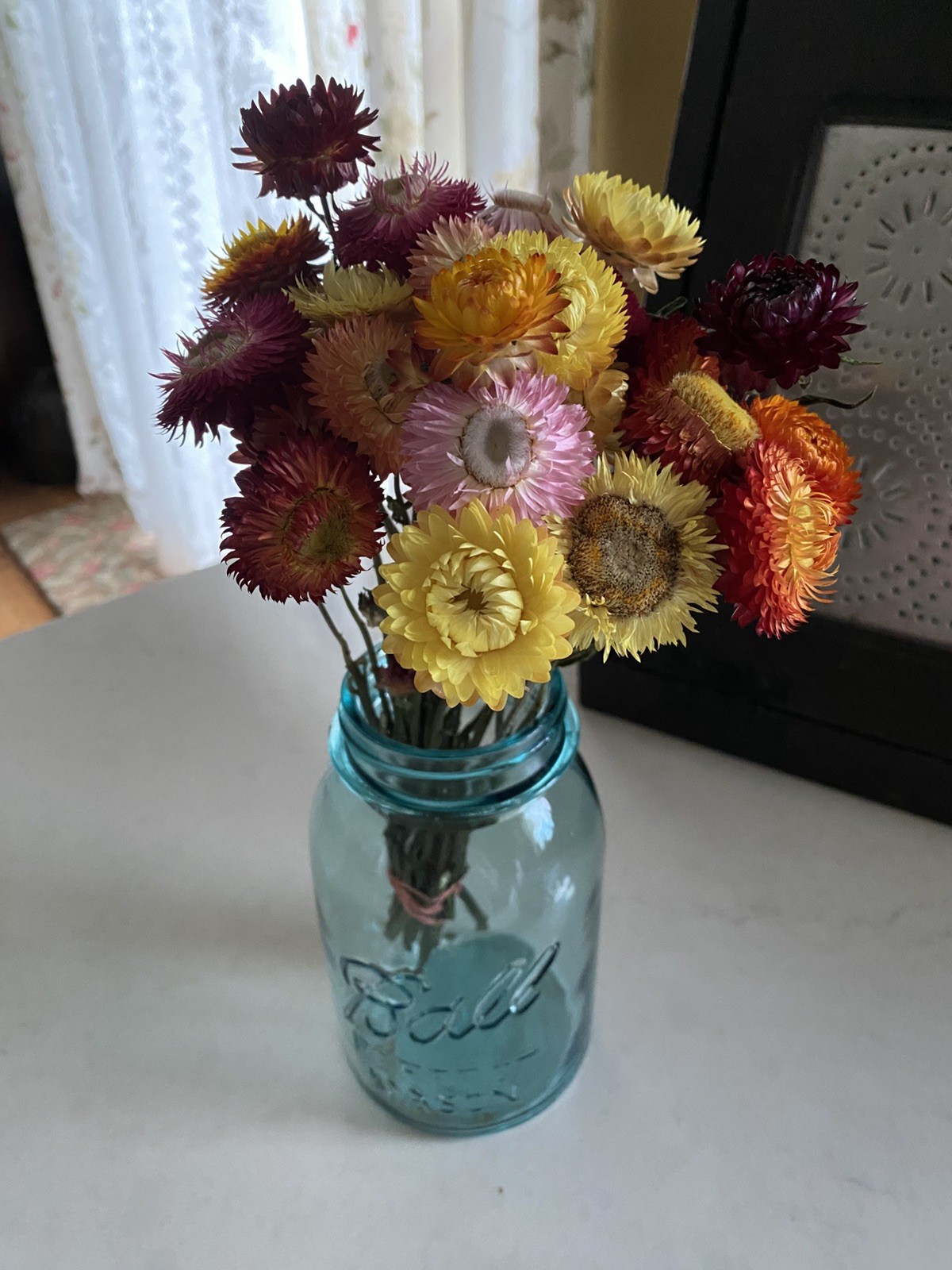 Beautiful STRAWFLOWERS Assorted Bunch BOUQUET Bundle DRIED Flowers USA Auc#4