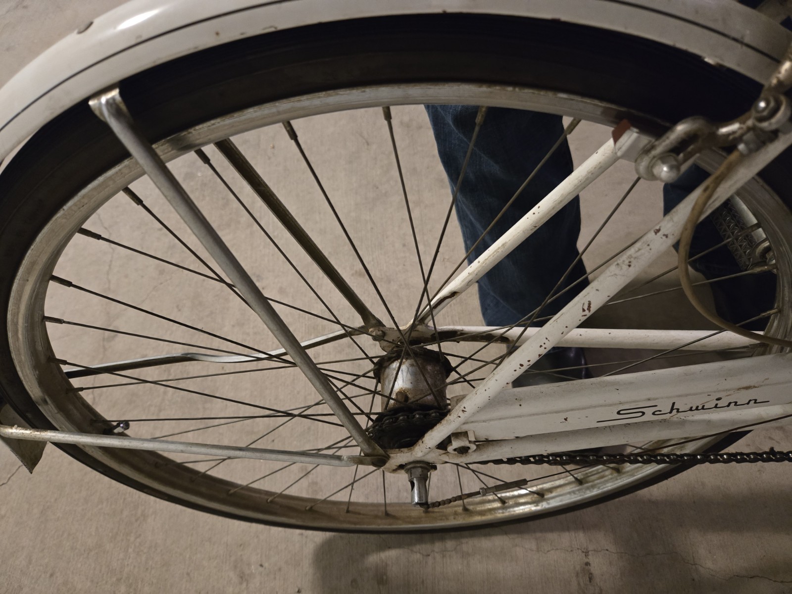 Schwinn Co-ed Bicycle Vintage 1964 Chicago