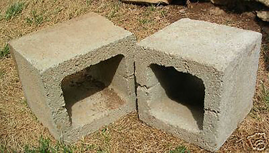 Dog Agility Mini Puppy Dog Walk