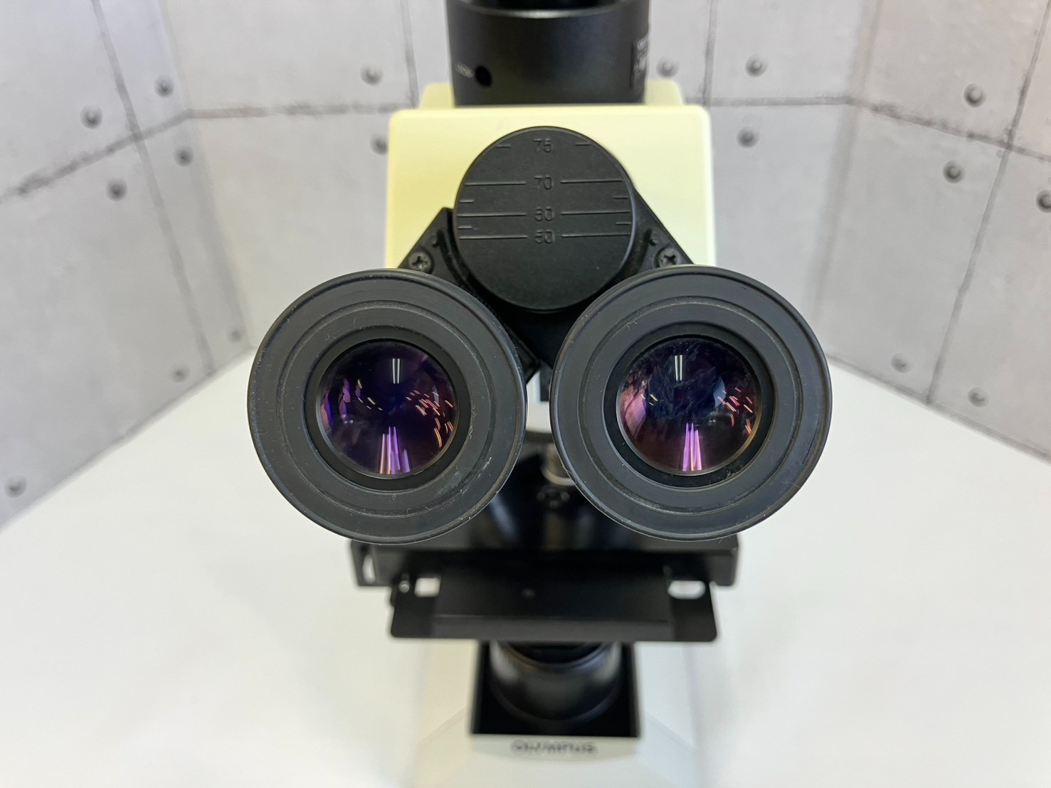 Olympus CX41LF Microscope