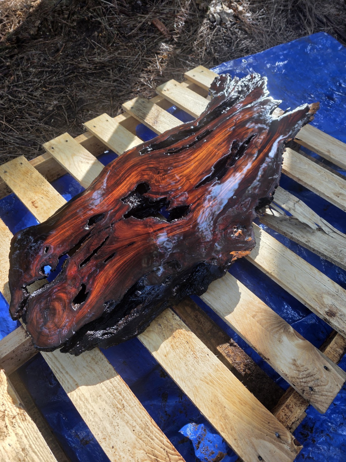 Desert Ironwood Live Edge Slab Epoxy Resin River Table Woodworking Art Mill Log