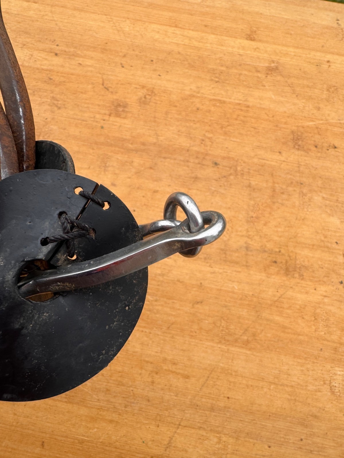 Sherry Cervi Diamond Short Shank O Ring Square Snaffle Horse Bit ~ 5.5"