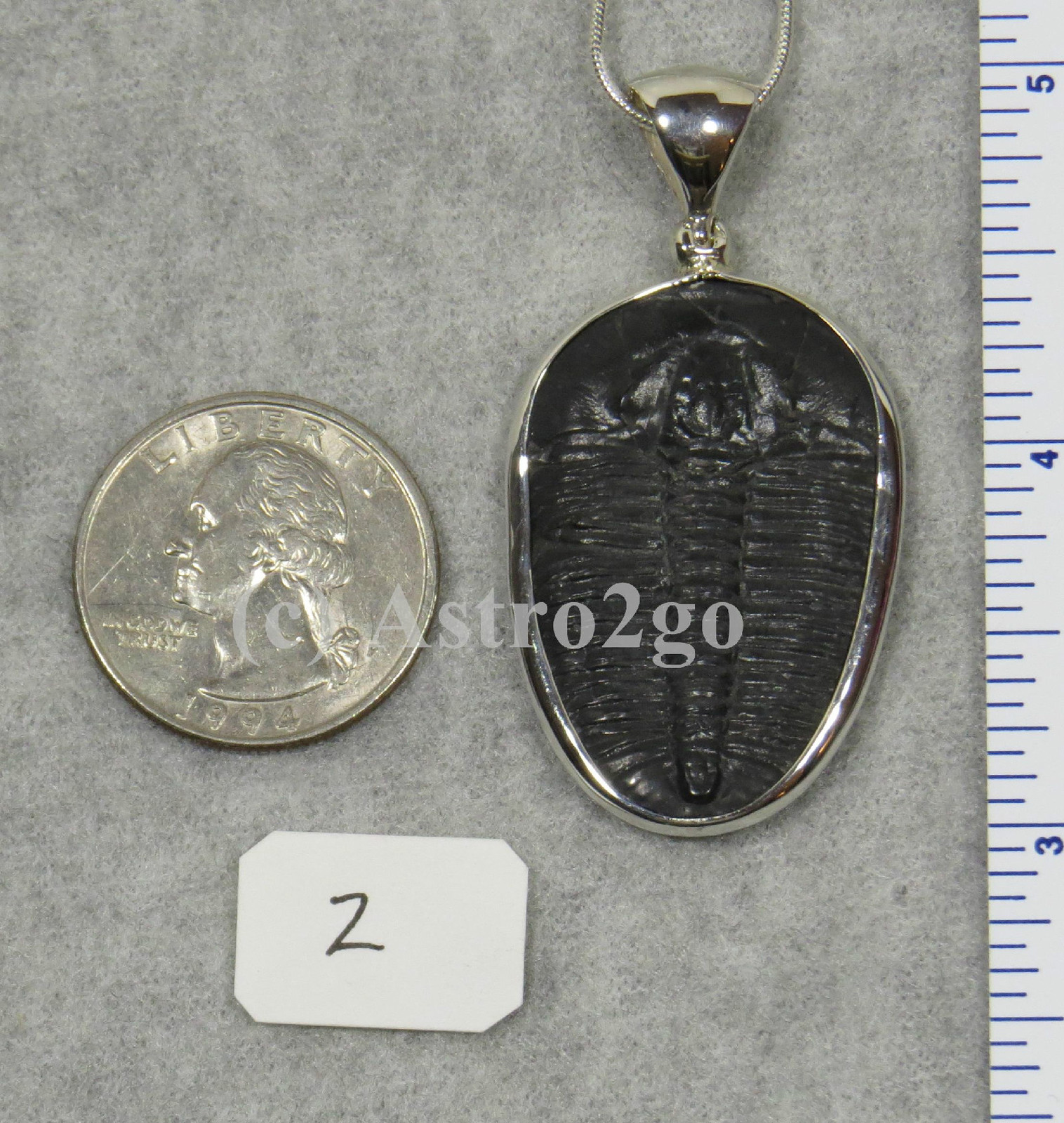 Elrathia Kingii TRILOBITE PENDANT $109 Sterling Silver Jewelry STARBORN CREATION