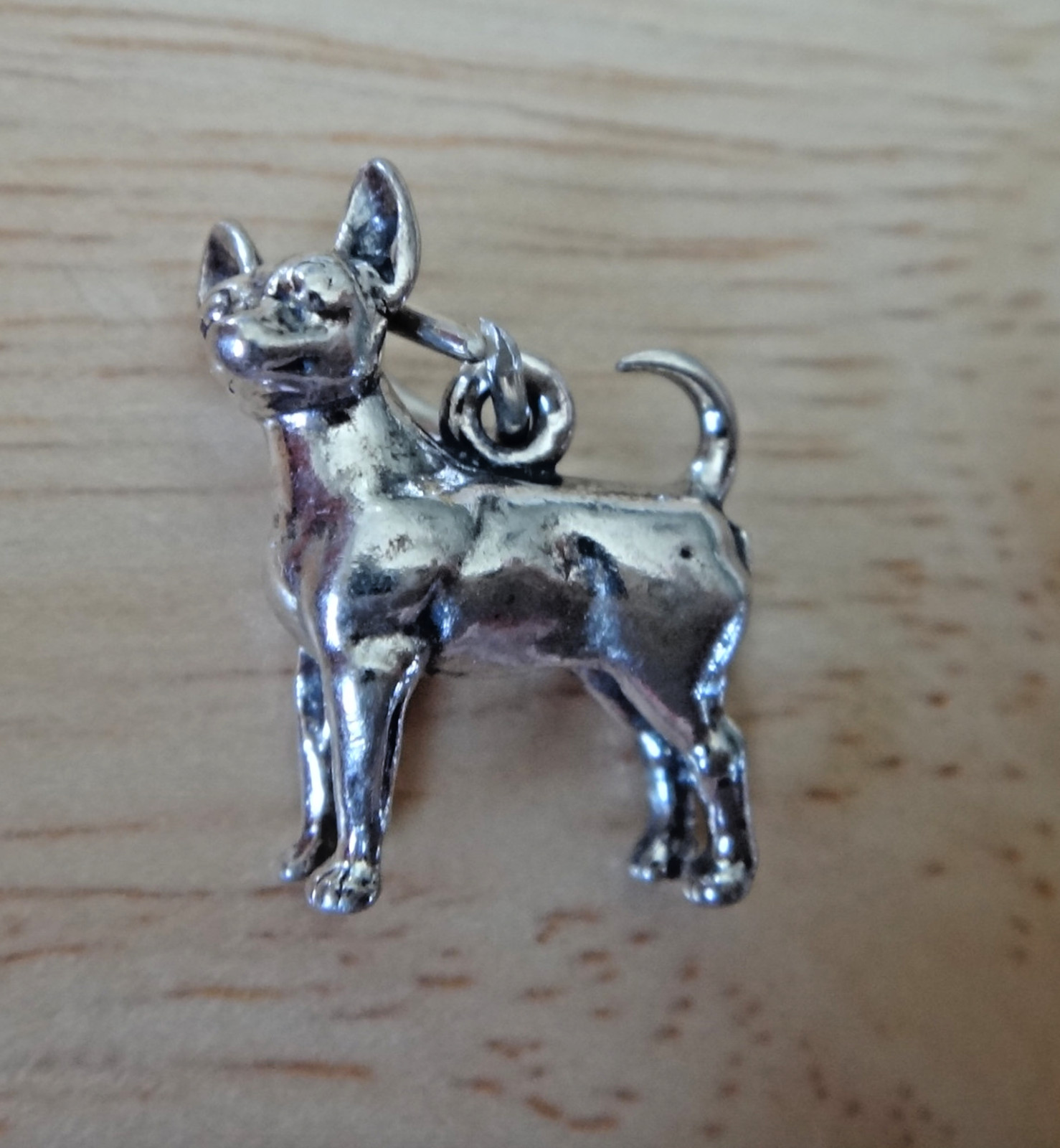 Sterling Silver 13x14mm 3D Chihuahua Dog with Head Turned Charm