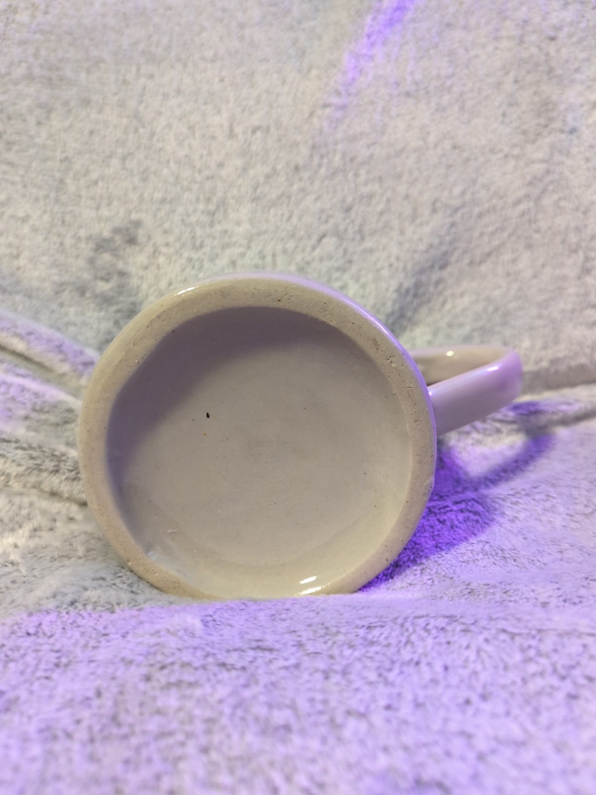 Stiegl Salzburger 1492 Ceramic Beer Stein Mug .5L