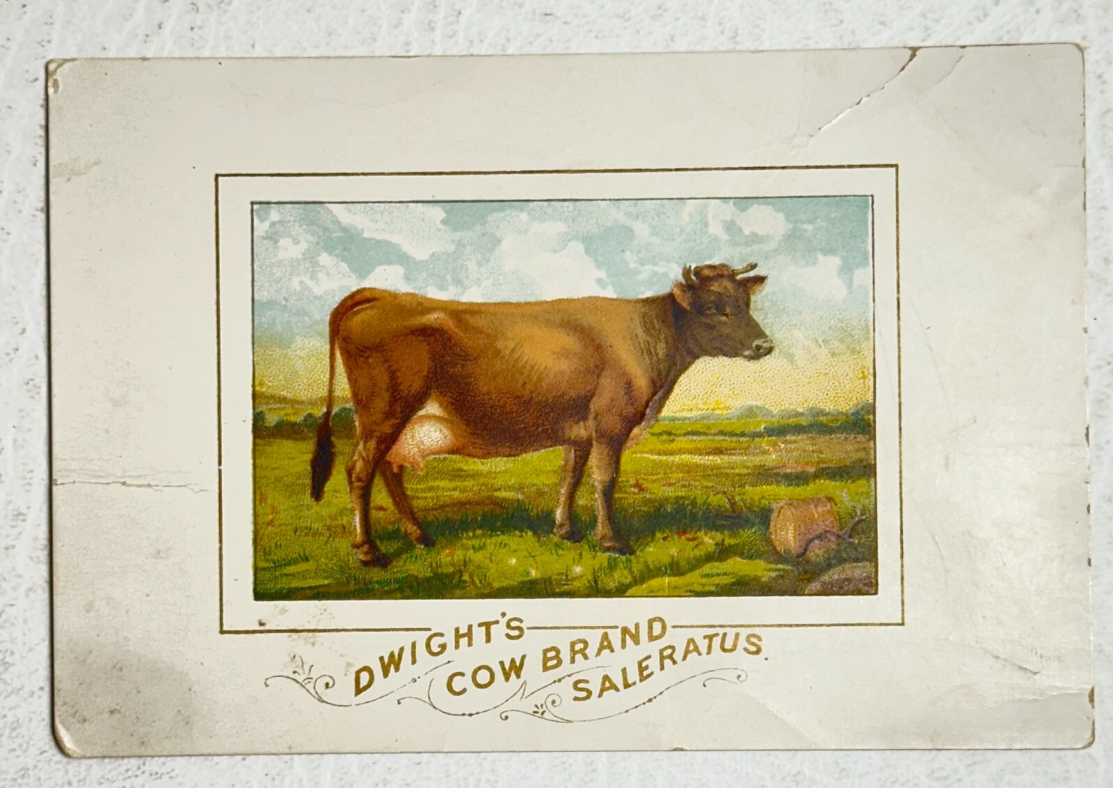 Dwight's Cow Brand Saleratus Cow in Pasture Victorian Trade Card