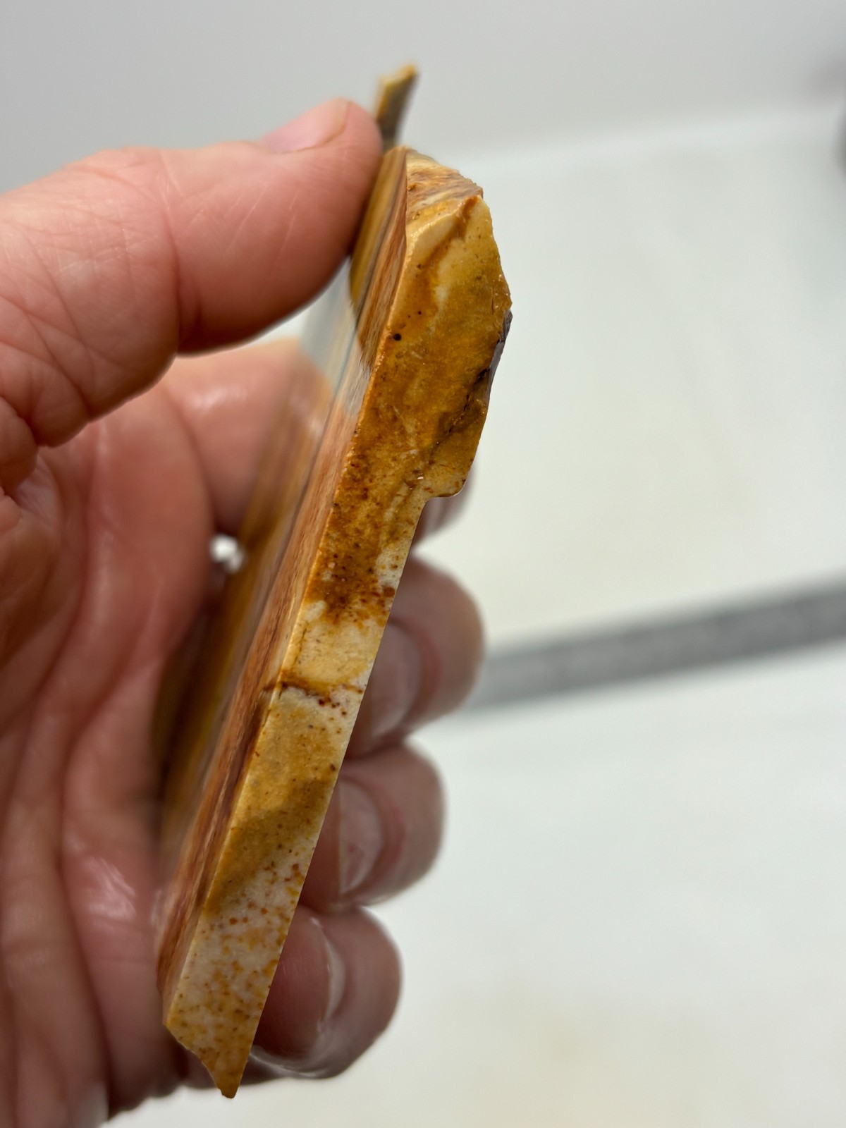 Disaster Peak Picture Jasper Slab Cabbing Lapidary Collecting Combo Ship Avail