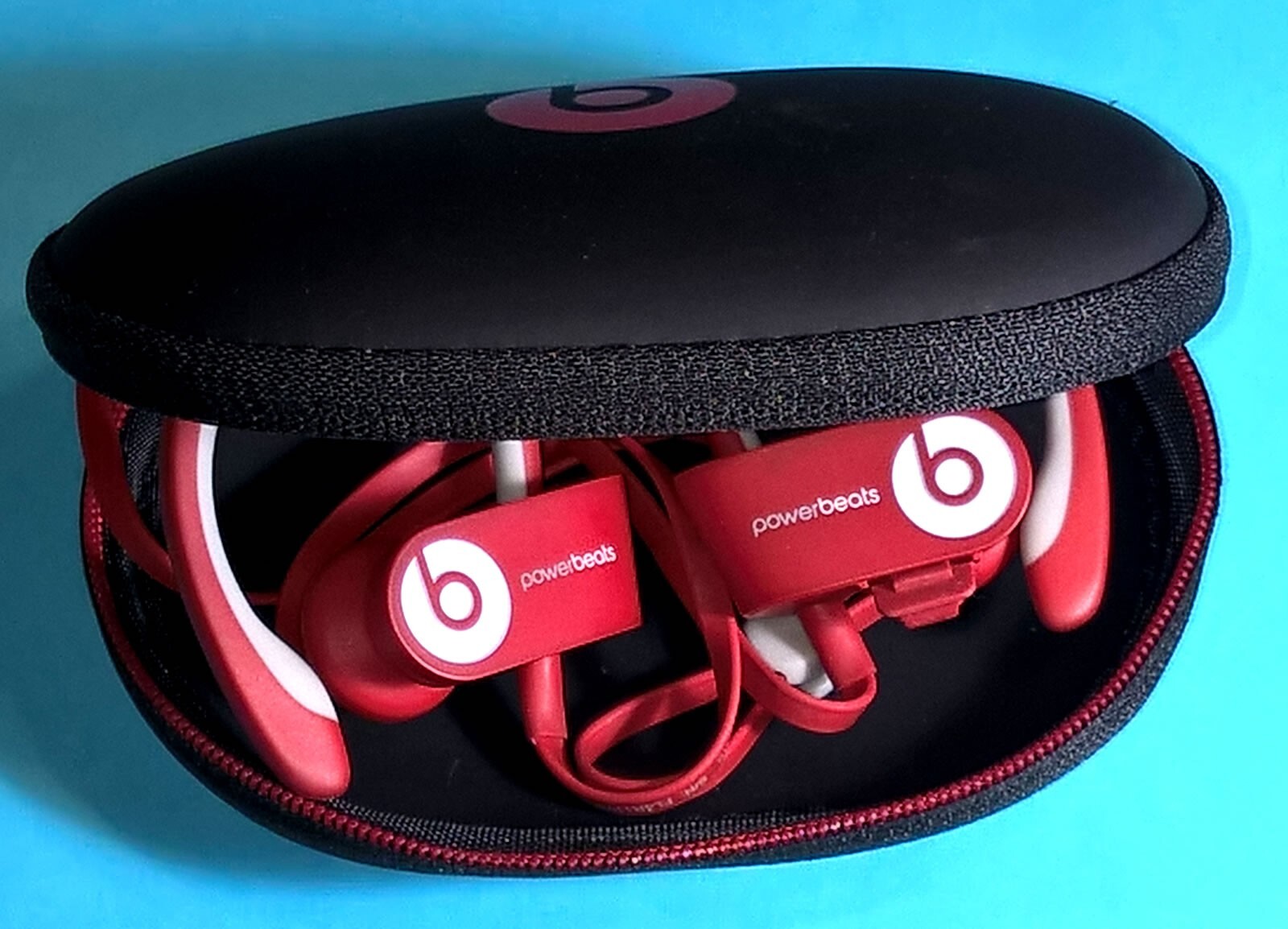 Hard Case for BEATS Powerbeats 3/2/1, BeatsX, UrBeats, Tour, iBeats Earphones