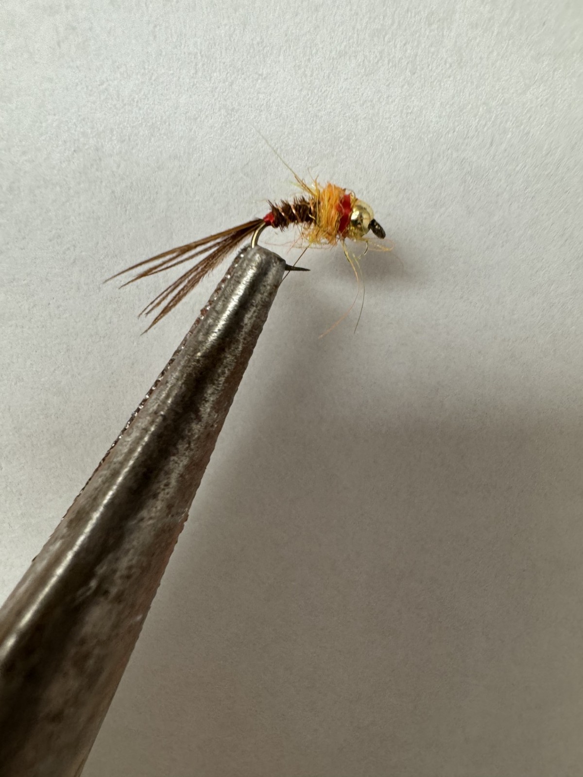 Frenchie Nymph Size 16