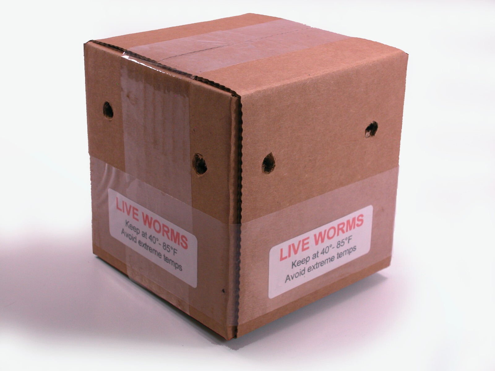 100+ Red Wiggler Worms—Live-Healthy-Organic—Eisenia fetida—FREE SHIPPING