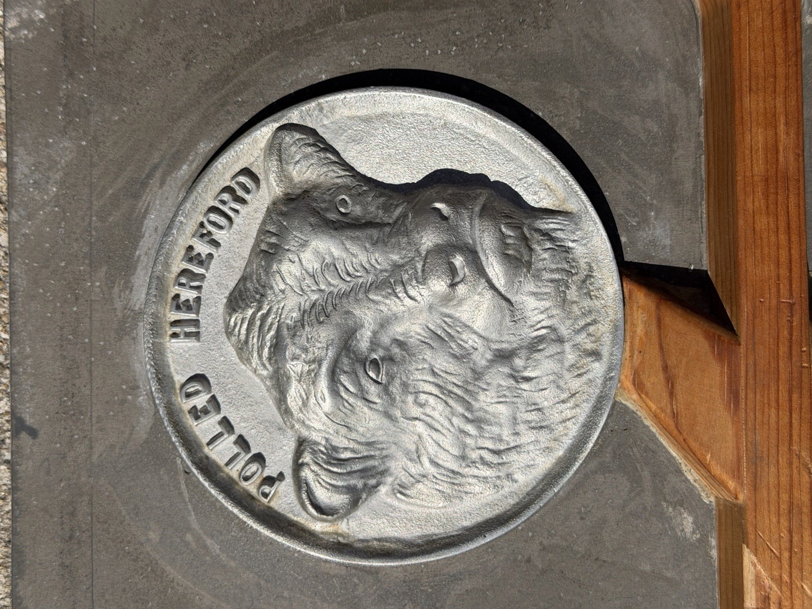 Vintage Industrial Aluminum Foundry Mold Pattern Polled Hereford Cows Sculpture