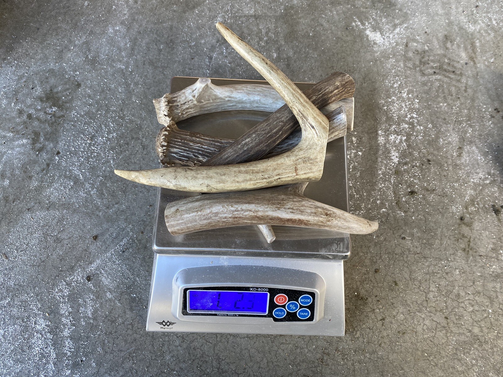 * Dog Chews * 1Lb Large Deer Antler Chews ~ All Natural, Organic HIGH QUALITY